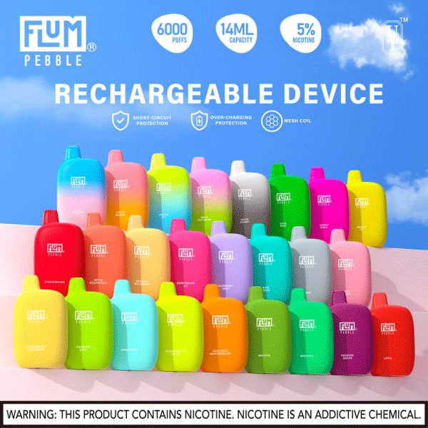 Flum Pebble 6000 Puff Disposable 5% box of 10 disposable